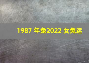 1987 年兔2022 女兔运